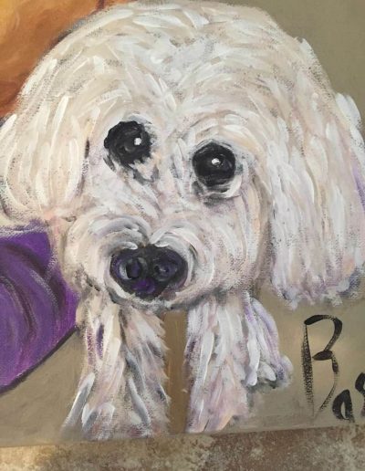 Pet-Gallery-10