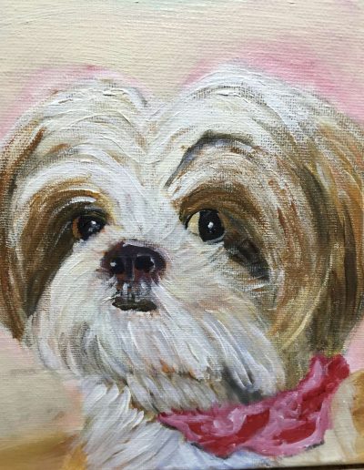 Pet-Gallery-04
