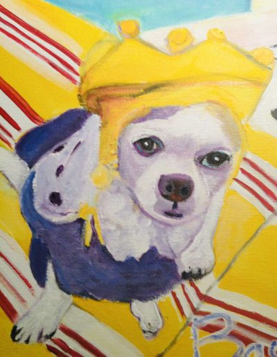 Pet-Gallery-01