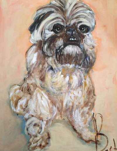 Pet-Gallery-07