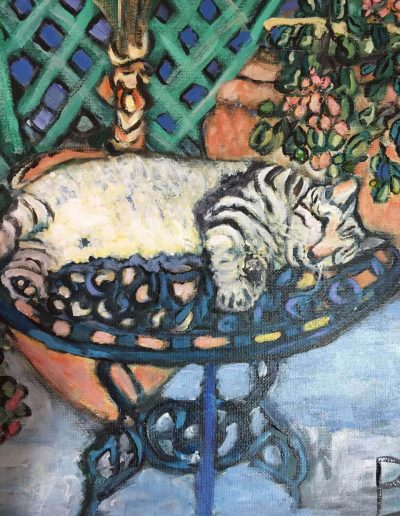 Pet-Gallery-11