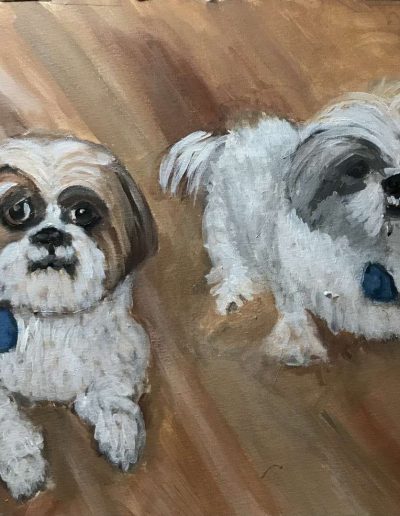 Pet-Gallery-08