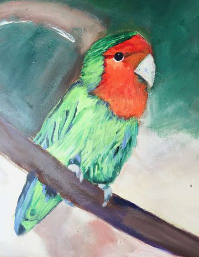 Pet-Gallery-02