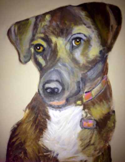 Pet-Gallery-09