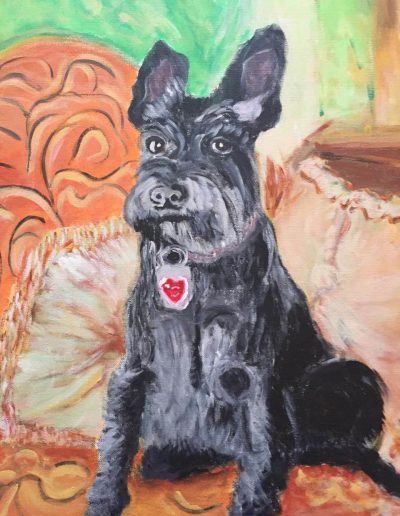 Pet-Gallery-06