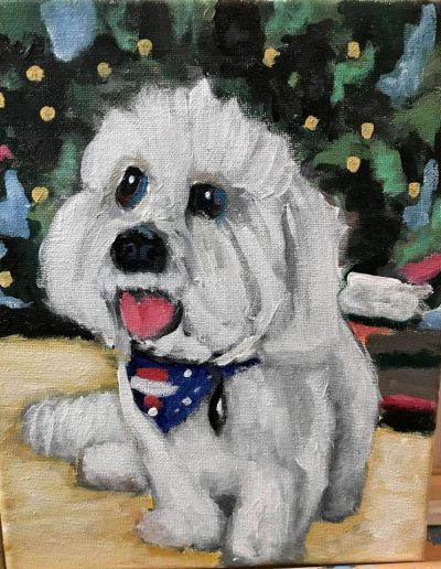 Pet-Gallery-13