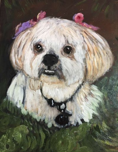 Pet-Gallery-15