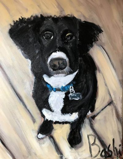 Pet-Gallery-14