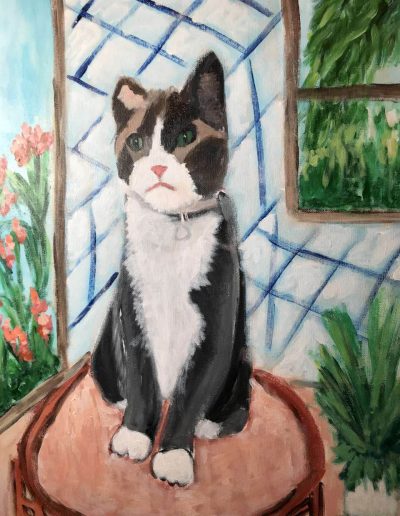 Pet-Gallery-19