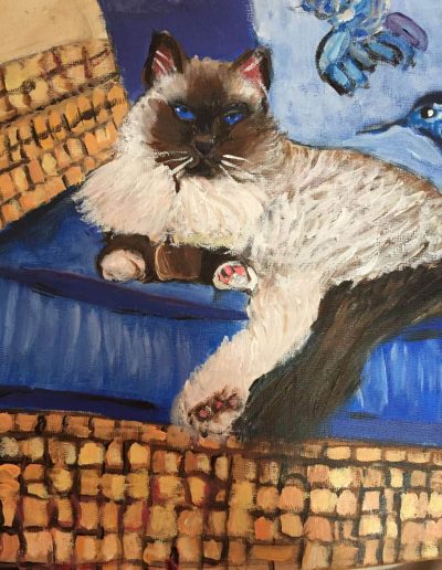 Pet-Gallery-17